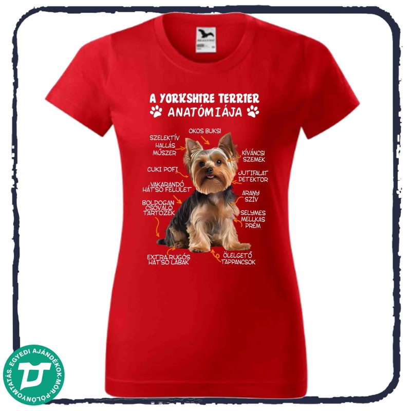 Yorkshire terrier anatómiája