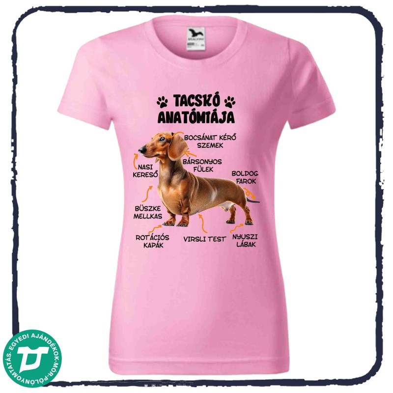 Tacskó anatómiája