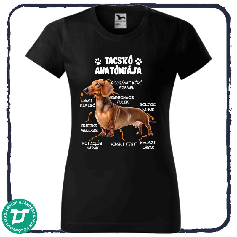 Tacskó anatómiája