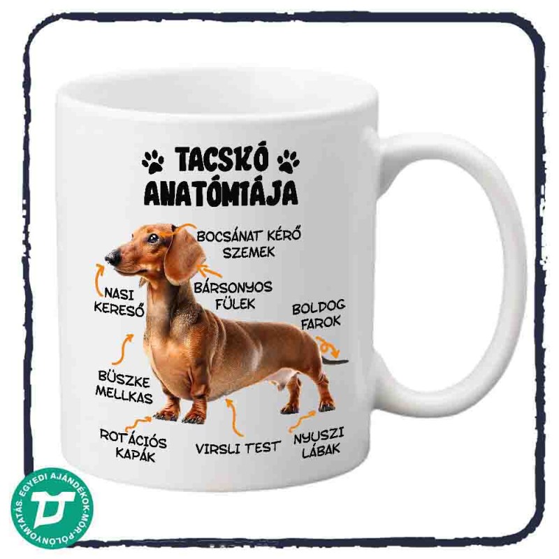 tacskó anatómiája bögre