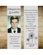 Fényképes ballagási szalag 3