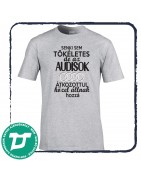 Senki sem tökéletes de az Audisok ...