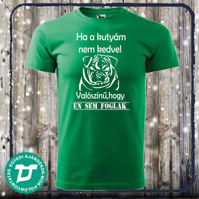 Ha a kutyám nem kedvel