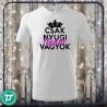 Csak nyugi tanár vagyok