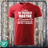 Gyakran gondolok arra,hogy tanár vagyok