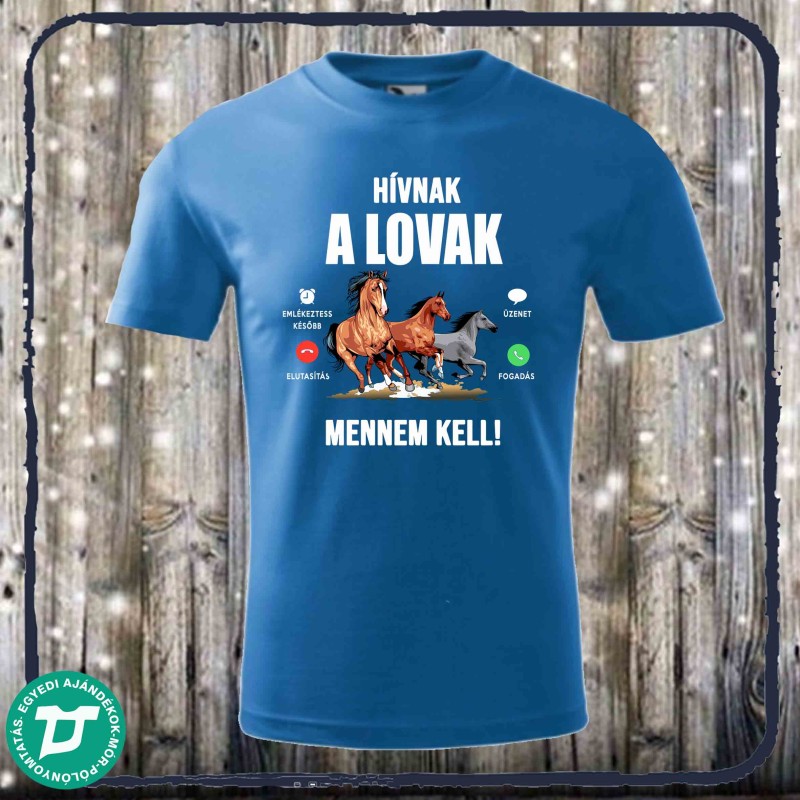 Hívnak a lovak mennem kell