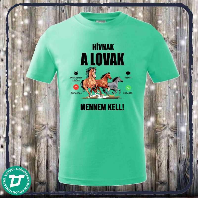 Hívnak a lovak mennem kell
